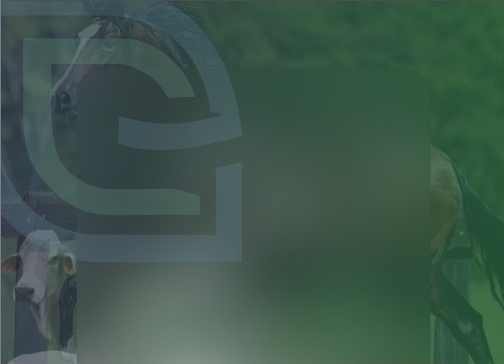 Accipere Agronegócio