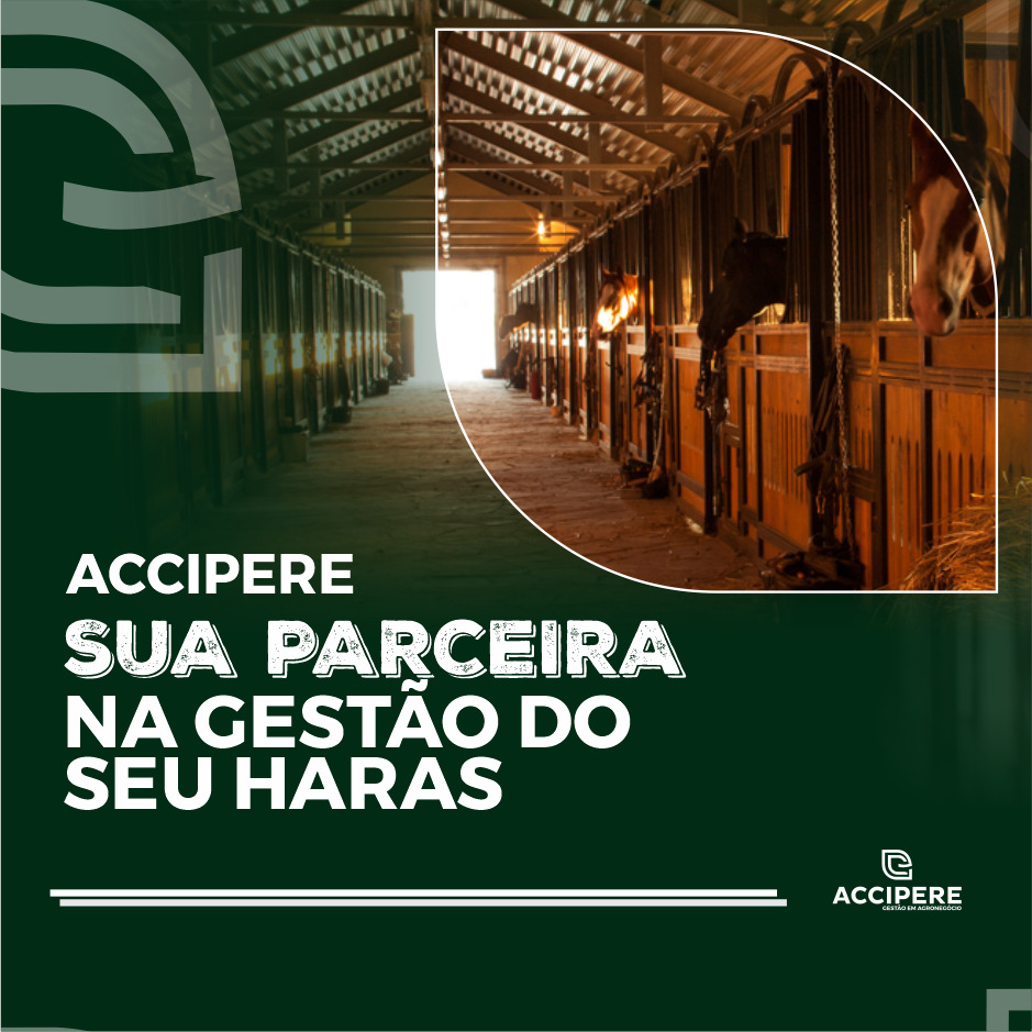 Gestão de Haras